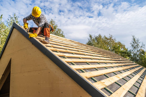 Professional Roofing Contractor in South Elgin, IL